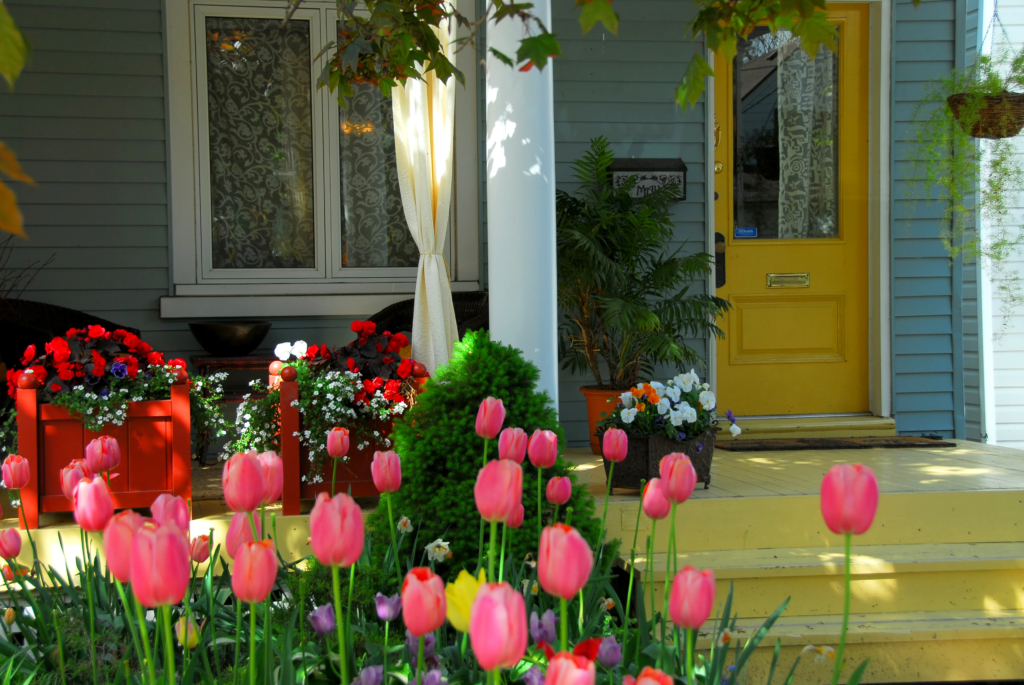 Color your Yard, Spring and Summer Flower recs to give your house a Facelift!