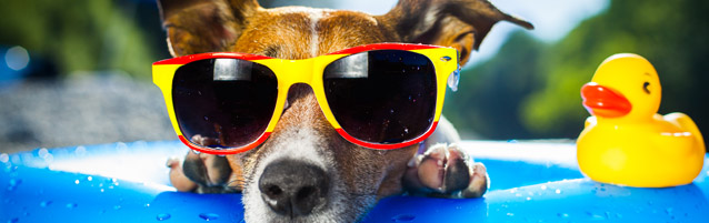 Seven Home Preparations for August