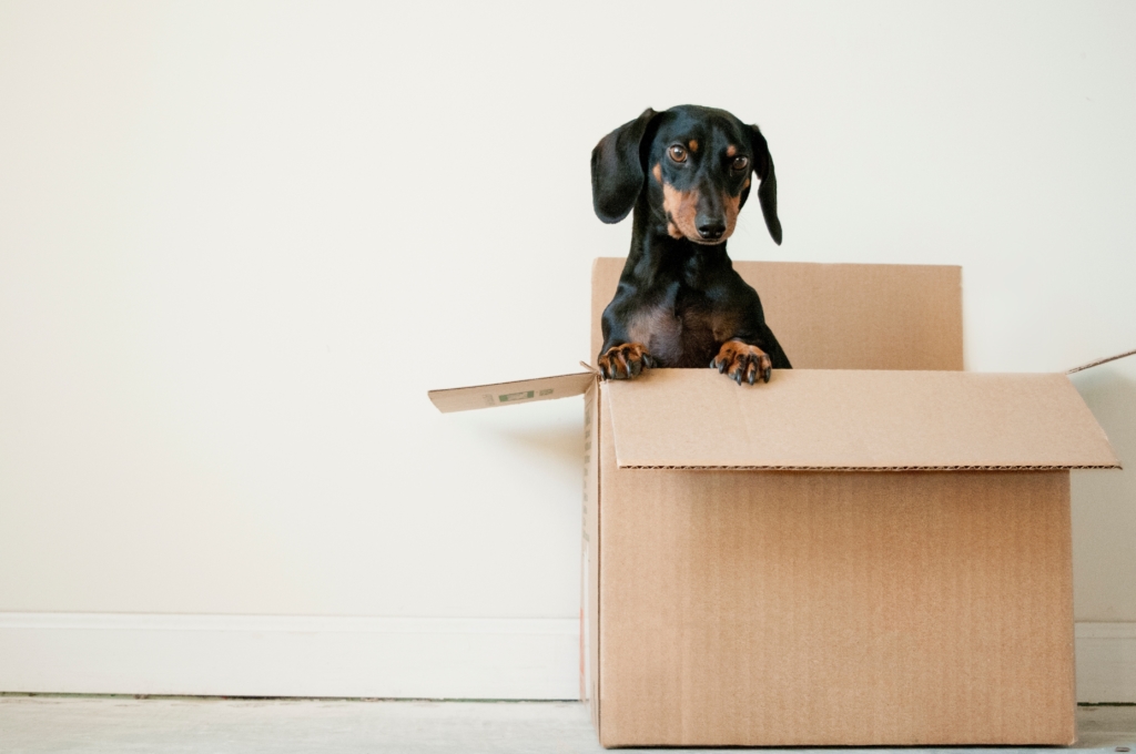 Moving? Check out these tips!