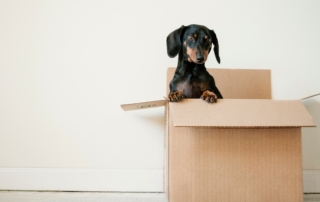 Moving? Check out these tips!